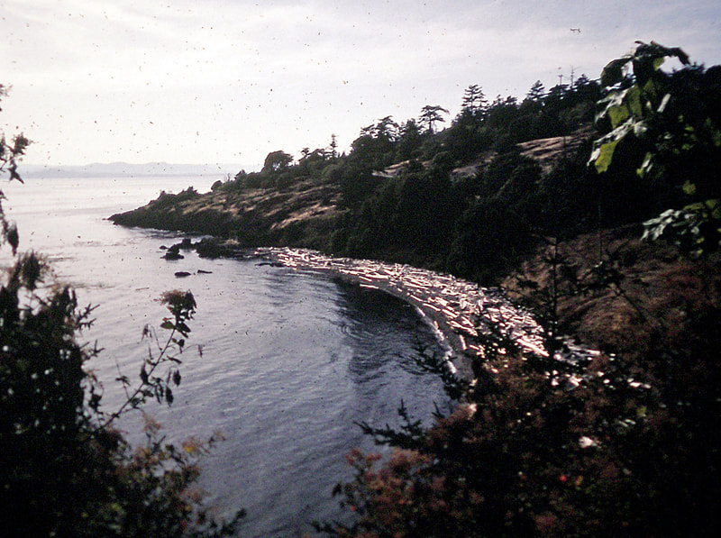 View near English Camp, San Juan Island, WA