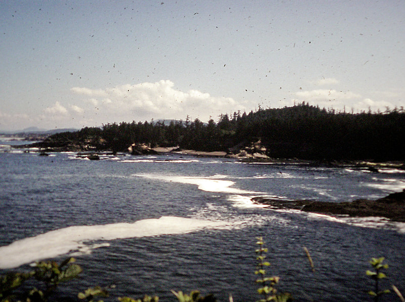 View of Boiler Bay, Oregon