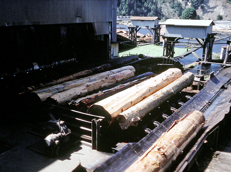 Pacific Lumber Mill, Scotia, CA
