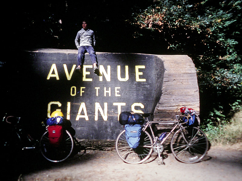 Avenue of the Giants entrance, Humboldt Redwoods State Park, CA