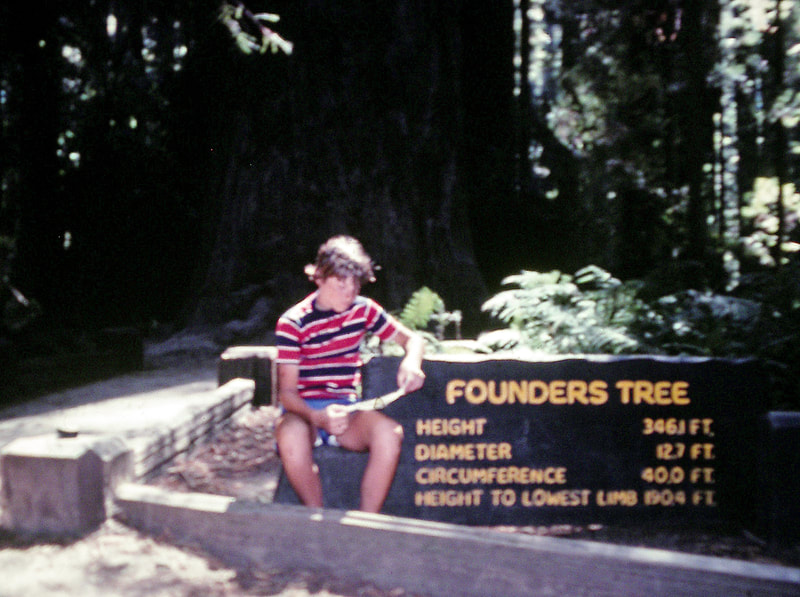 Founder's Grove, Humboldt Redwoods State Park, CA